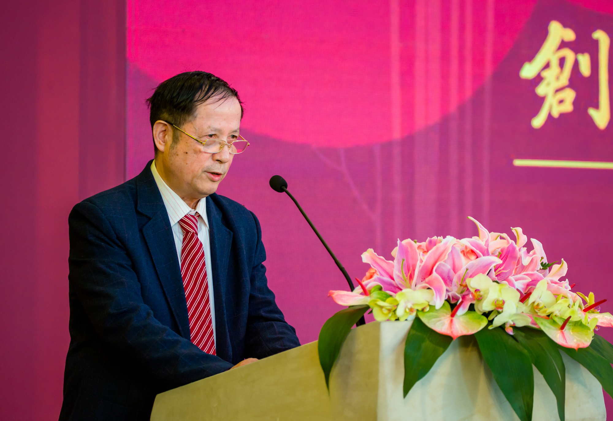 尾气治理专家：华中科技大学教授陈国华致辞